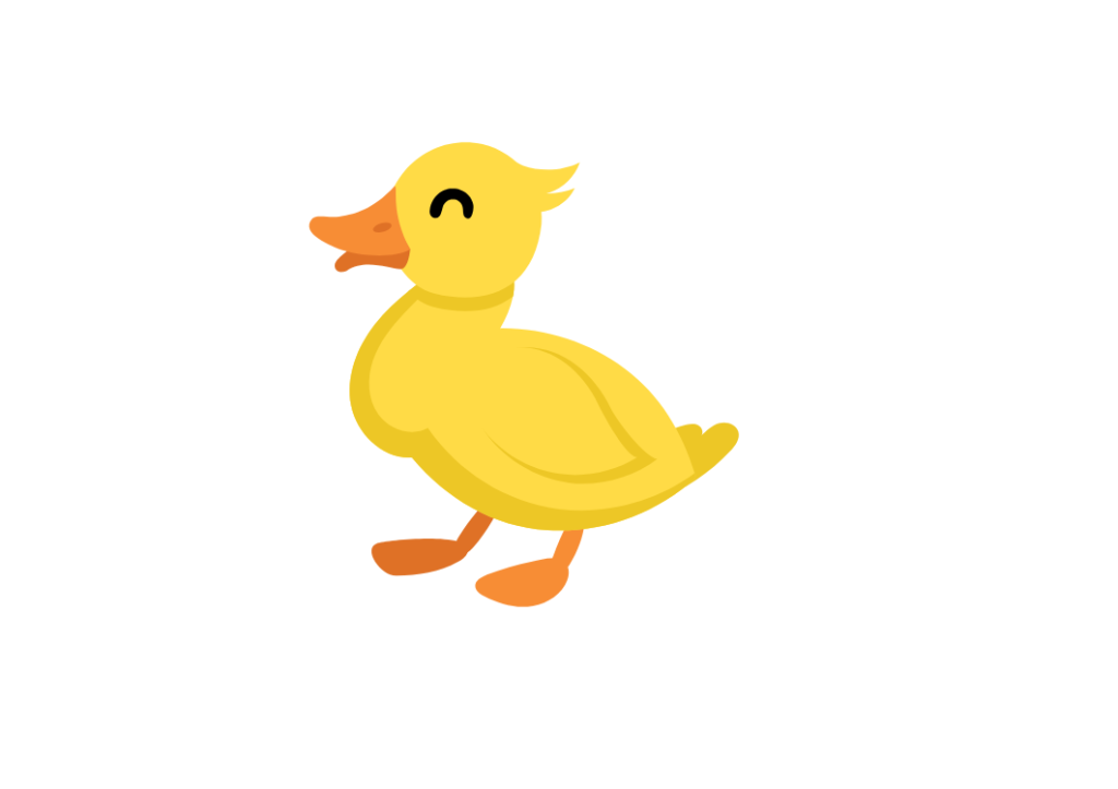Ducks